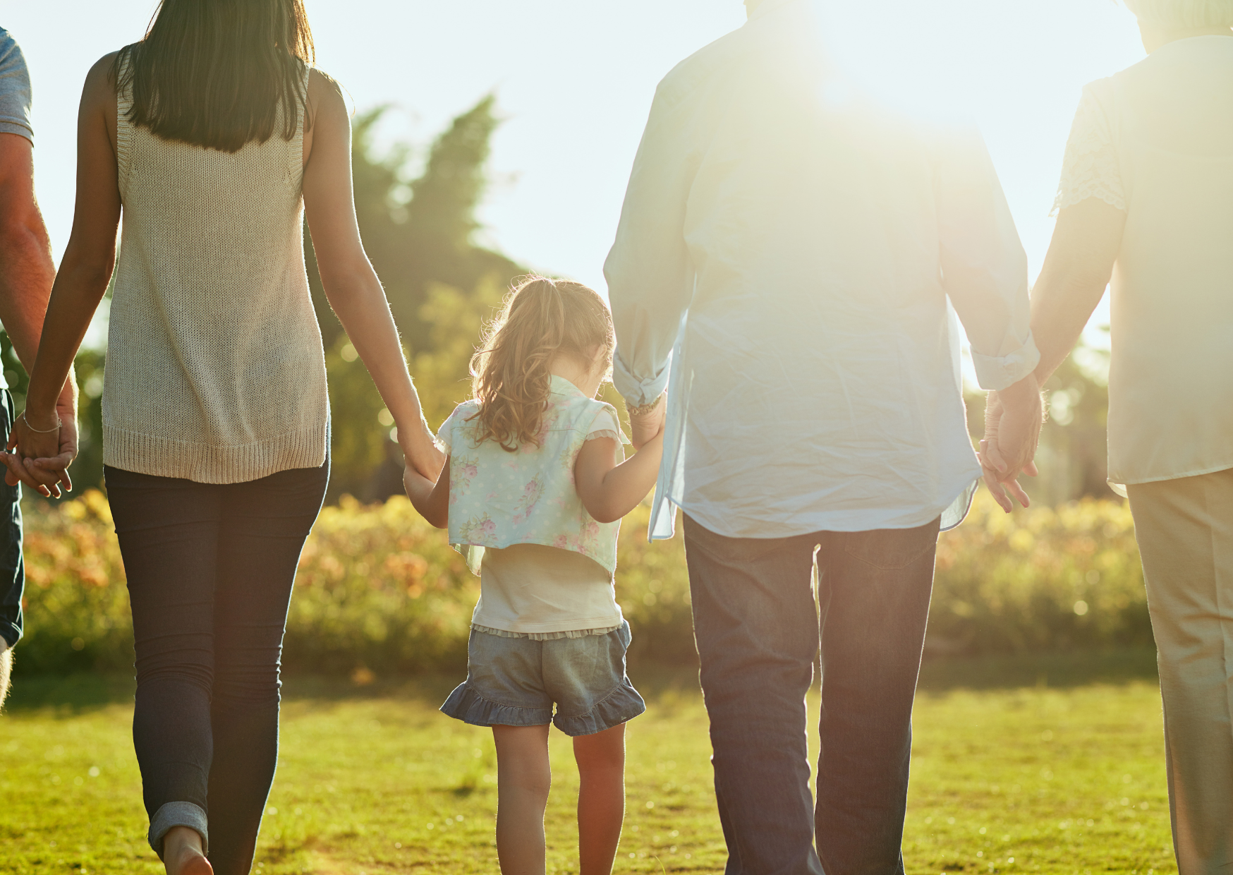 Family of four walking hand in hand away from the camera in a sunlit park/field.